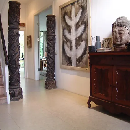 Floor Vondelpark 公寓 阿姆斯特丹