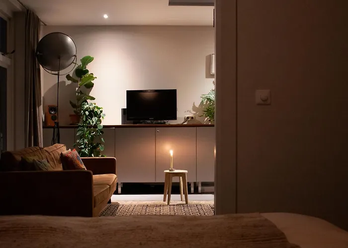 Floor Vondelpark 公寓